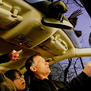 US photographer Francisco Diaz pursues religious and psychological themes with his sometimes disturbing images.